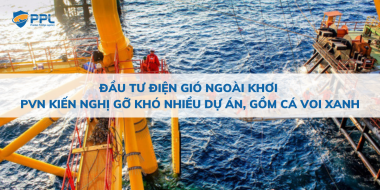 Đầu tư điện gió ngoài khơi - PVN kiến nghị gỡ khó nhiều dự án, gồm Cá Voi Xanh